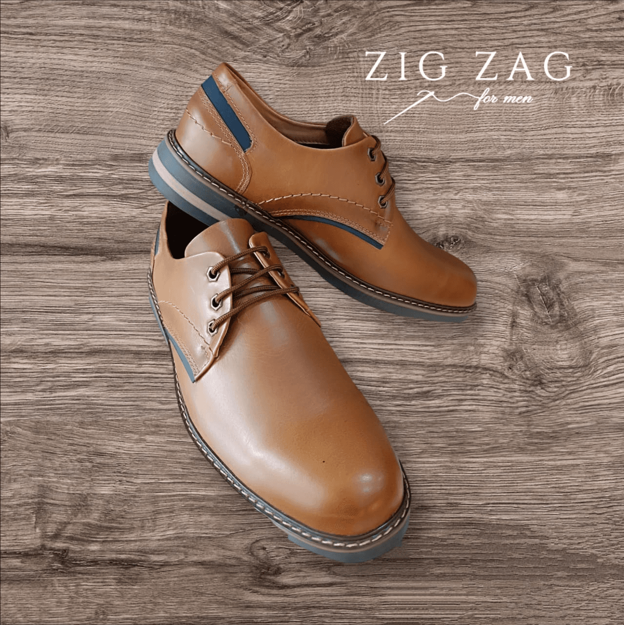 Zapato de vestir elegante
